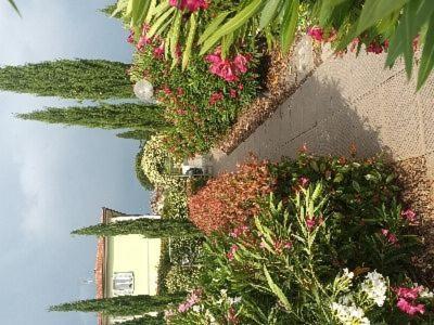 Villa Manuela Altopascio Ngoại thất bức ảnh